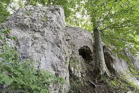 Reste der Günzelburg