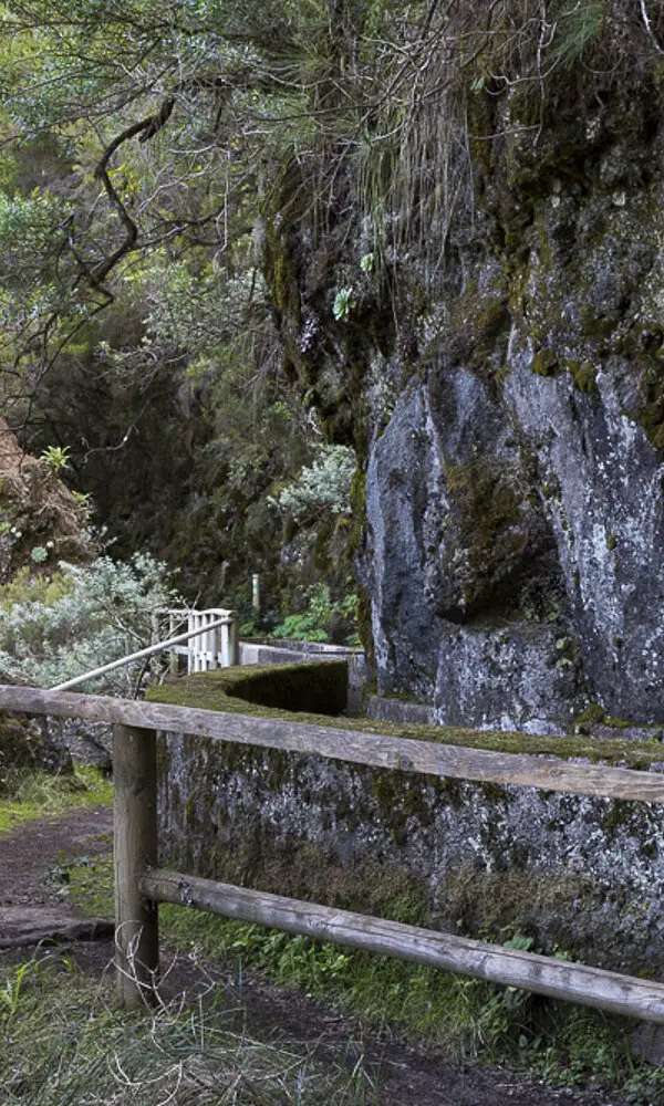 Levada auf dem Weg nach Los Tilos