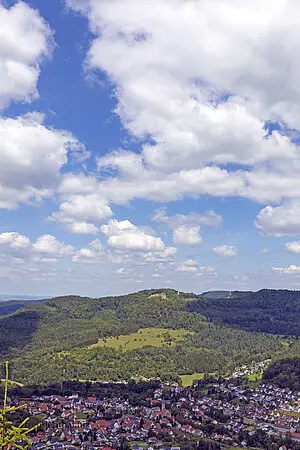 Aussicht vom Gräbelesberg auf Laufen an der Eyach