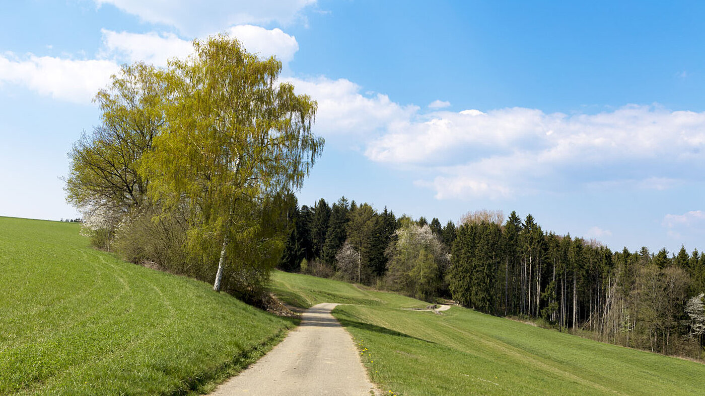 Wanderung von Lorch nach Schwäbisch Gmünd