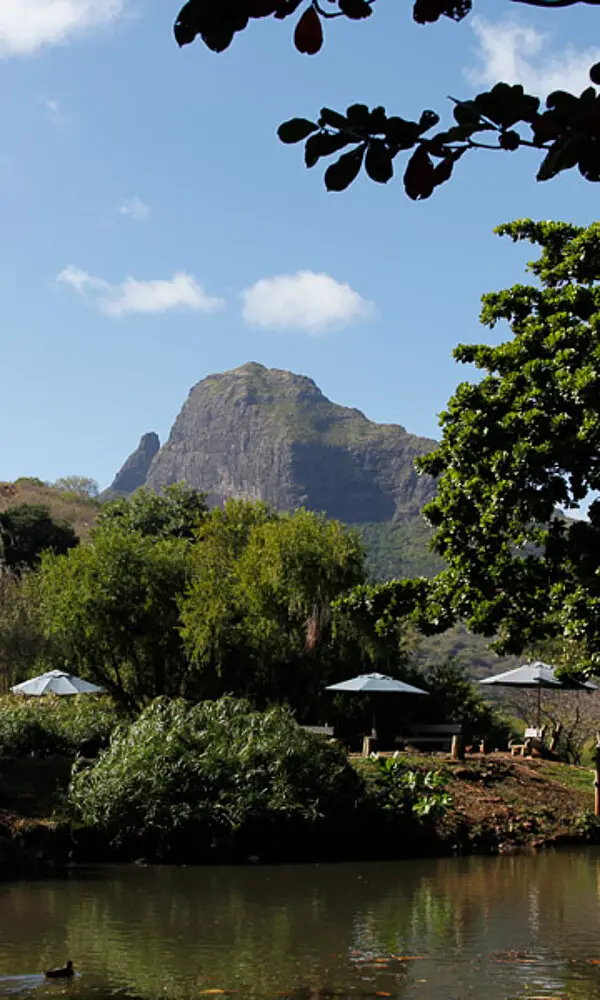 Casela Nature Park | Reisebericht Mauritius