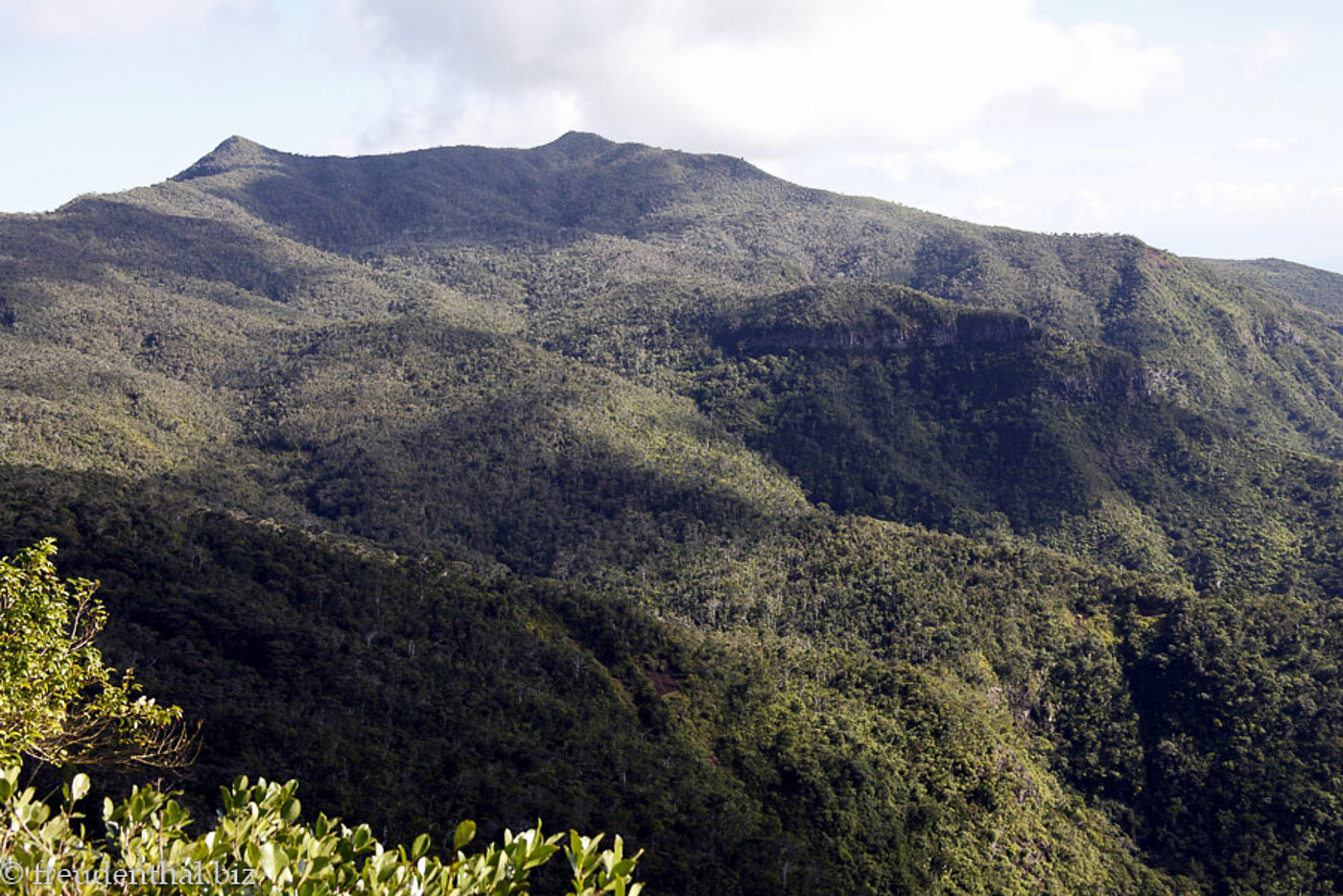 Black River Gorges Nationalpark auf Mauritius