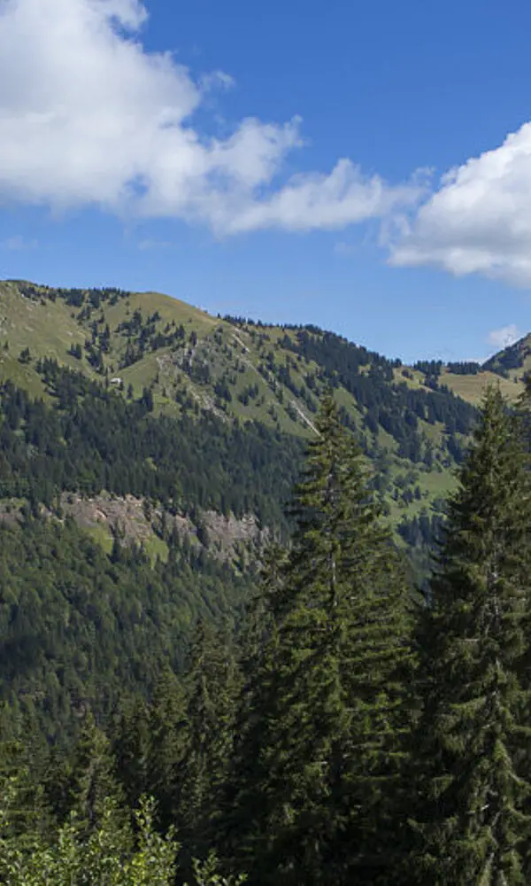 Wandern im Naturpark Nagelfluhkette