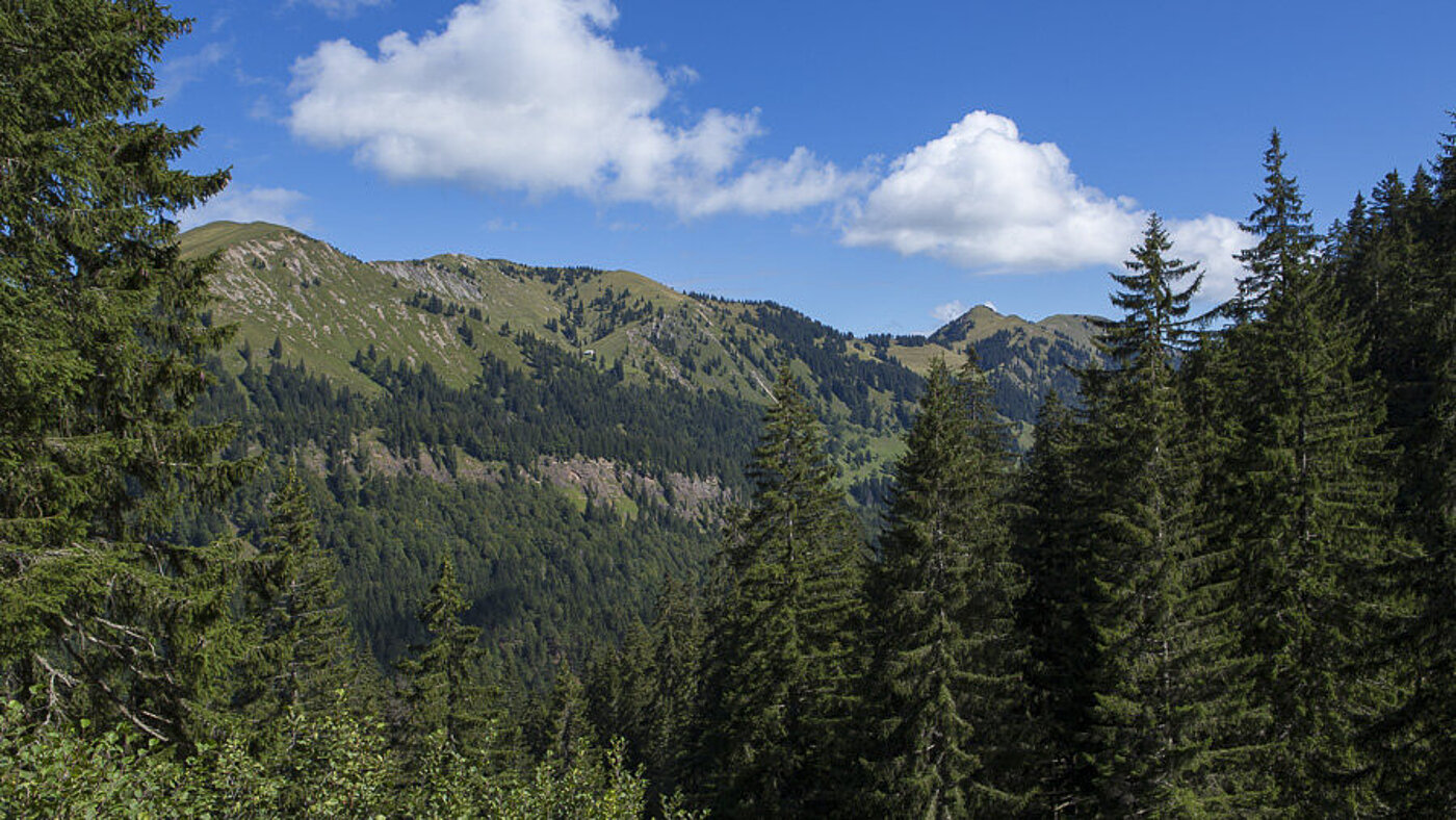 Wandern im Naturpark Nagelfluhkette