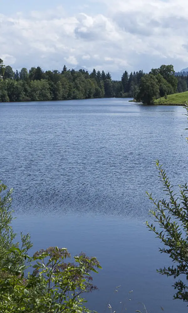 Wanderung zum Schwaltenweiher