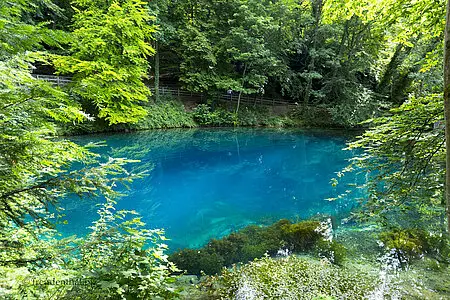 Blick auf den Blautopf