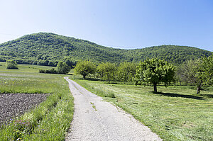 Wanderung von Owen auf die Bassgeige