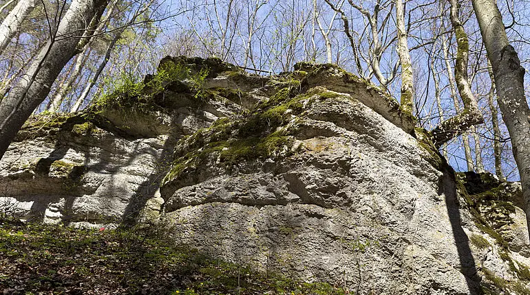 Wanderung Hossinger Leiter