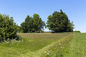 Pfad vom Vulkankraterweg zum Alpenpanorama