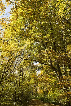 Wanderung auf das Kalte Feld