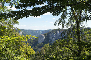 Aussicht von der Rosenhalde bei Beuron