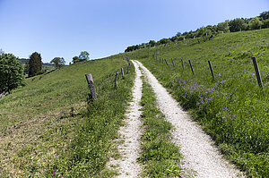 Wanderweg von Offenhausen nach Gomadingen 