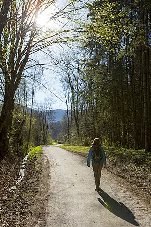 Wanderung zur Burg Hohenzollern