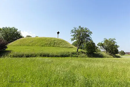 Baumburg oder auch Turmhügelburg