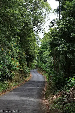 Wanderweg vom Schwefelsee nach Furnas