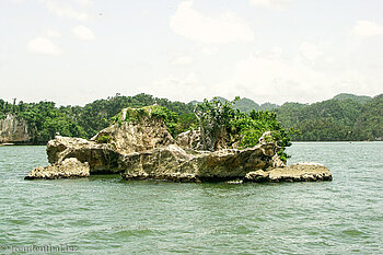 schroffe Insel im Nationalpark Los Haitises