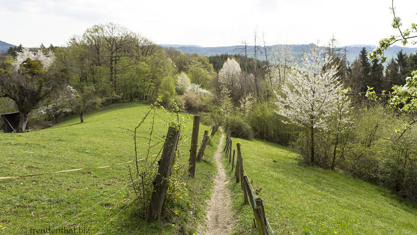 Wanderung Kaiser-Barbarossa-Runde