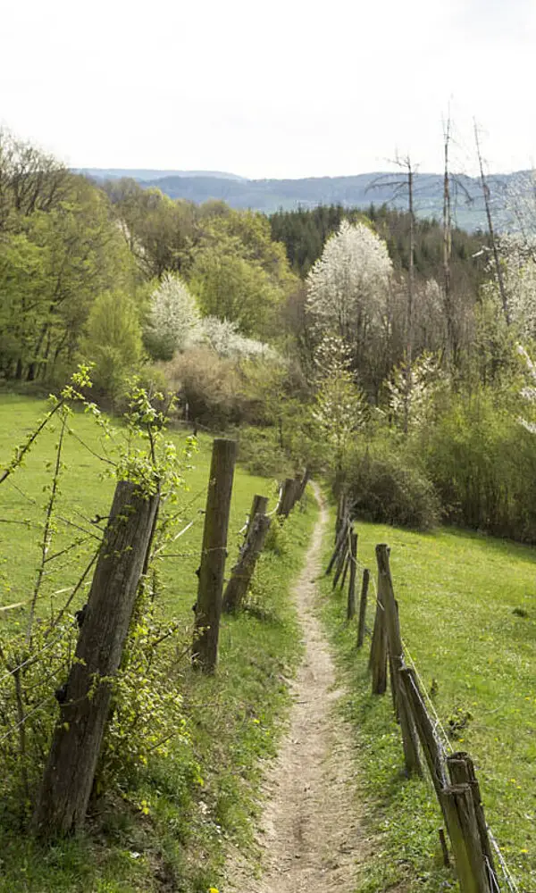 Wanderung Kaiser-Barbarossa-Runde