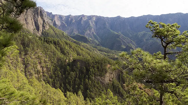 Caldera Taburiente auf La Palma