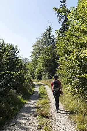 Wanderung von der Salmendinger Kapelle zum Dreifürstenstein