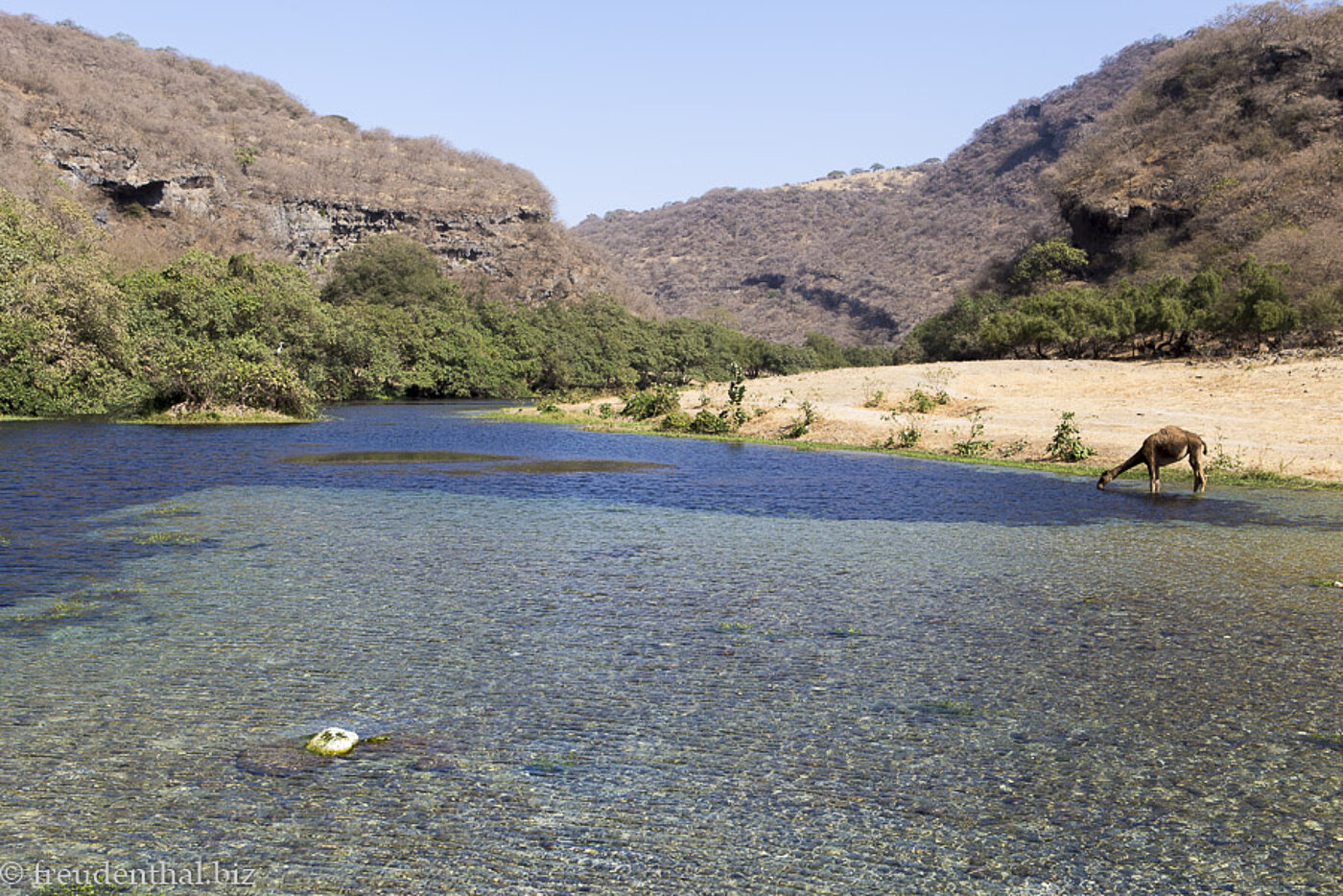 beim Wadi Darbat im Oman