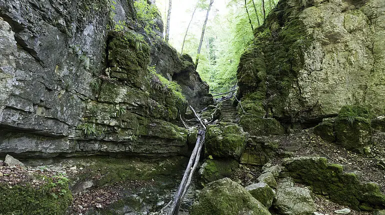 Oberer Abschnitt der Wolfsschlucht