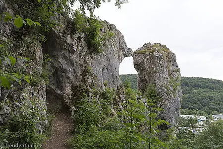 Felsen Küssende Sau