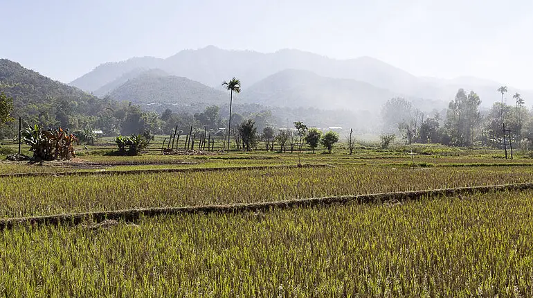 Blick über die Reisterrassen auf die Shan-Berge