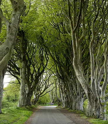 Rundfahrten durch Irland