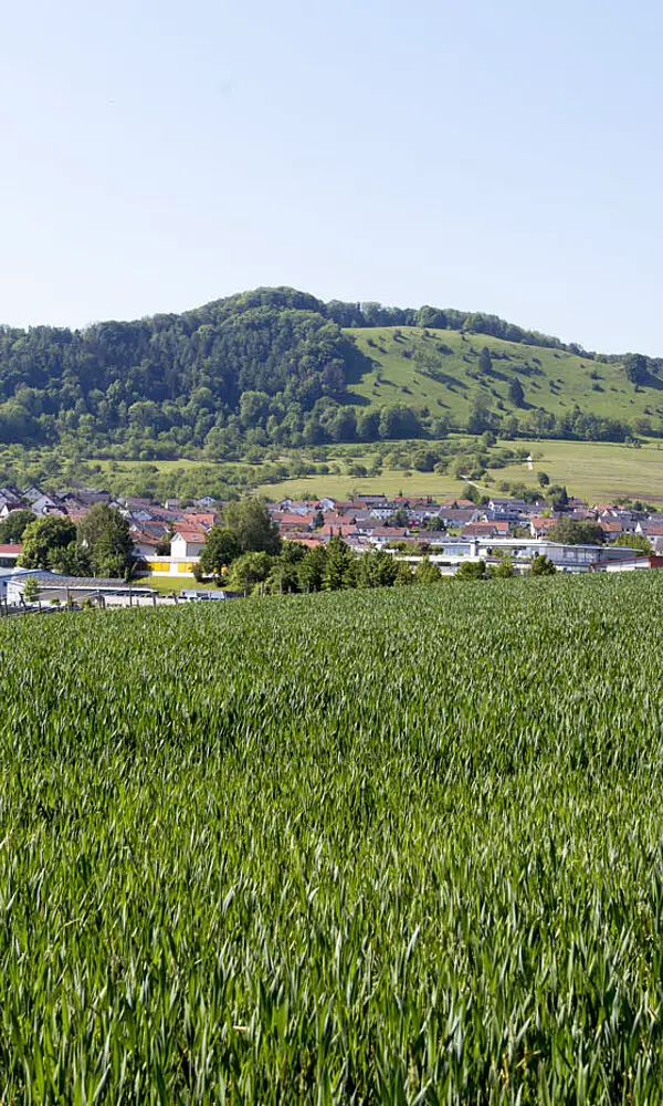 Wanderung auf dem Eduard-Mörike-Weg