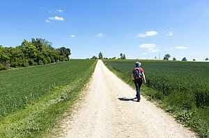 Wanderung auf dem Vulkankraterweg Apfelstetten