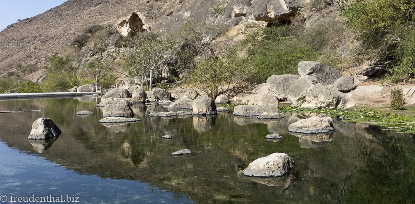 im Quellgebiet Ayn Razat bei Salalah im Oman