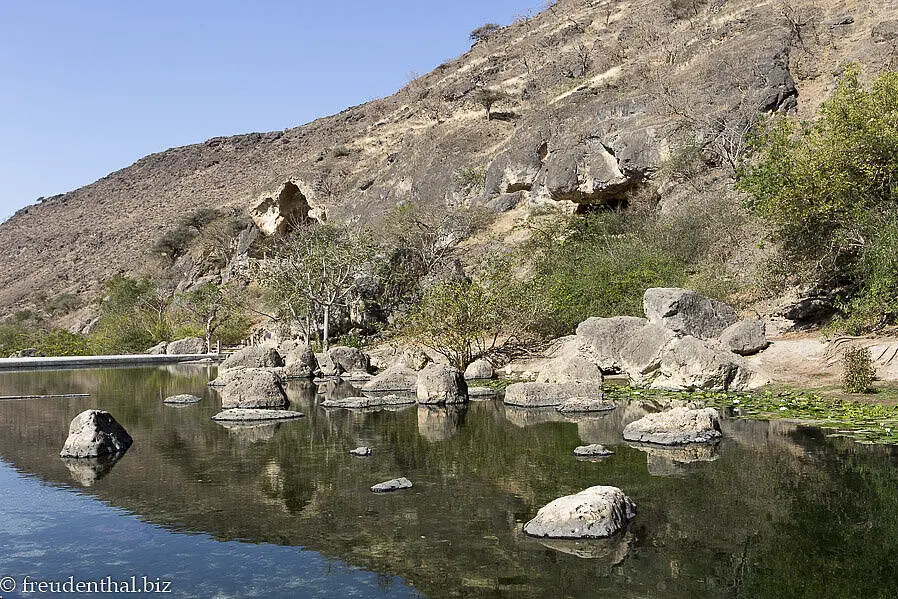 im Quellgebiet Ayn Razat bei Salalah im Oman