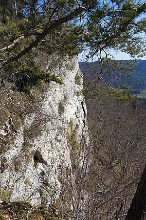 Aussicht vom Triebfelsen