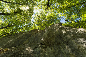 Buckfelsen im Ermstal