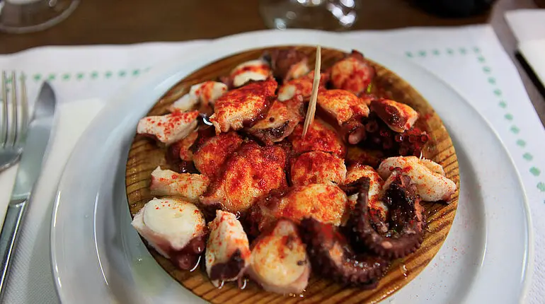 Pulpo