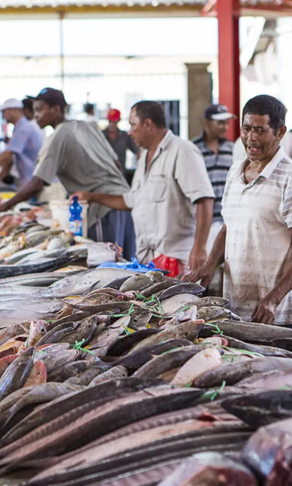 Markt Victoria auf Mahé | Seychellen