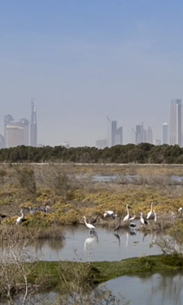 Dubai - die Glitzermetropole im staubigem Dunst