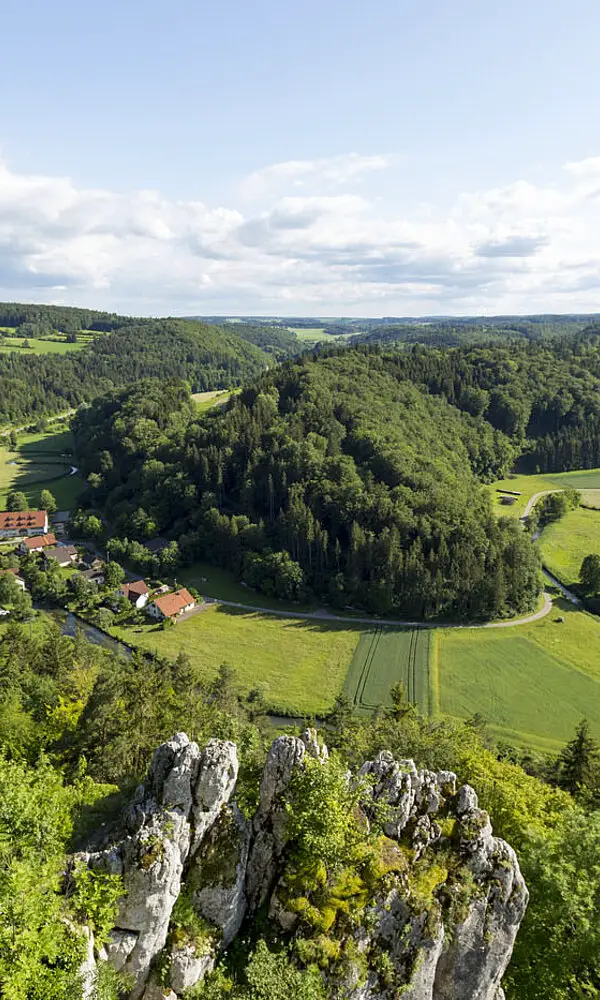 Burg Hohengundelfingen