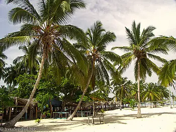 Palmenstrand auf der Cayo Levantado